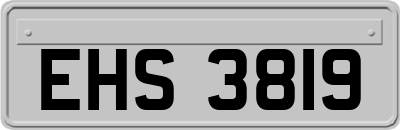 EHS3819