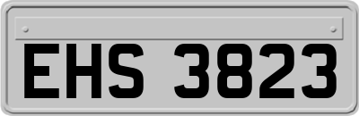 EHS3823