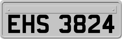 EHS3824