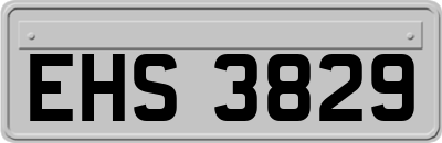 EHS3829