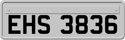 EHS3836