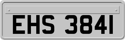 EHS3841