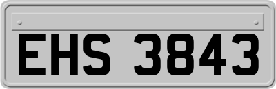 EHS3843