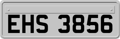 EHS3856