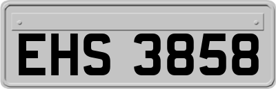 EHS3858