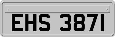 EHS3871