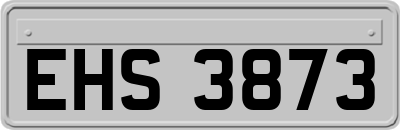 EHS3873