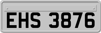 EHS3876