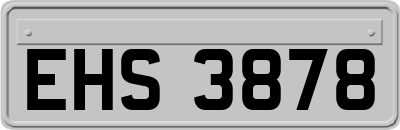 EHS3878