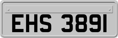 EHS3891