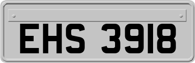 EHS3918