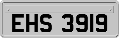 EHS3919
