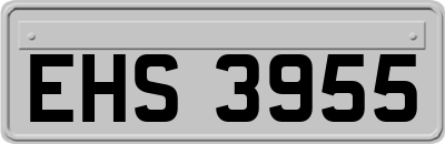 EHS3955