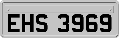 EHS3969