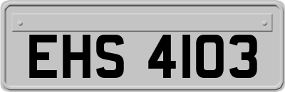 EHS4103