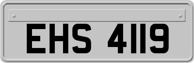 EHS4119