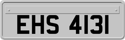 EHS4131
