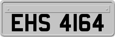 EHS4164