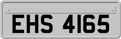 EHS4165