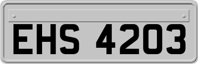 EHS4203