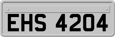 EHS4204