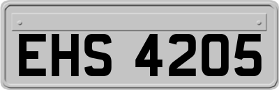 EHS4205