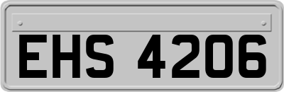 EHS4206