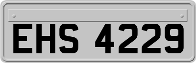 EHS4229
