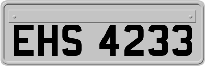 EHS4233