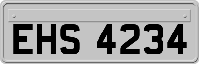 EHS4234