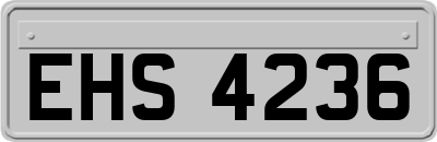 EHS4236