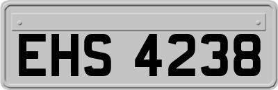 EHS4238