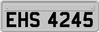 EHS4245