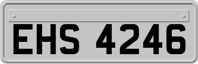 EHS4246