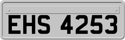 EHS4253