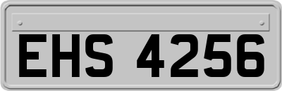 EHS4256