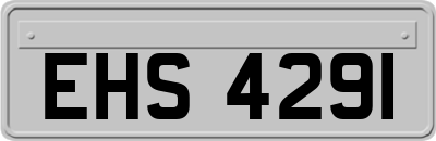 EHS4291