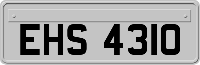 EHS4310