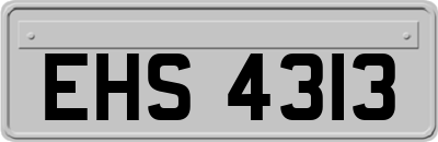 EHS4313