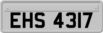 EHS4317