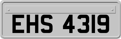 EHS4319