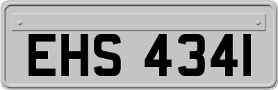 EHS4341