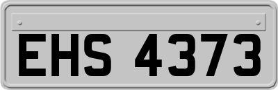 EHS4373
