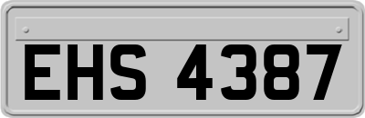 EHS4387