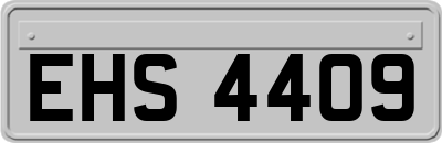 EHS4409