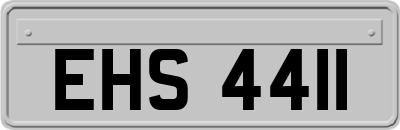 EHS4411