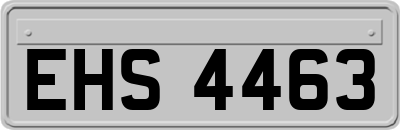 EHS4463