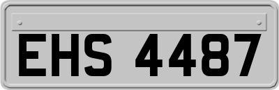 EHS4487