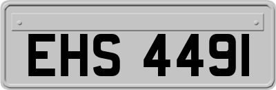 EHS4491
