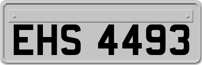EHS4493